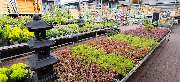 OBI Markt Sinzig - OBI Gartencenter Sinzig