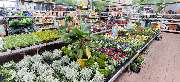 OBI Markt Sinzig - OBI Gartencenter Sinzig