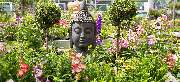 OBI Markt Sömmerda - OBI Gartencenter Sömmerda