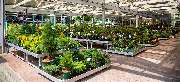 OBI Markt Sömmerda - OBI Gartencenter Sömmerda