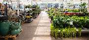 OBI Markt Sömmerda - OBI Gartencenter Sömmerda