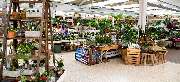 OBI Markt Sömmerda - OBI Gartencenter Sömmerda