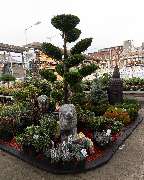 OBI Markt Solingen - Garten Freifläche