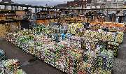 OBI Markt Solingen - Garten Freifläche