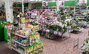 OBI Markt Solingen - Garten (Innenansicht)