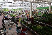 OBI Markt Solingen - Garten Kalthalle