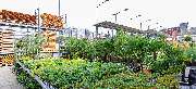 OBI Markt Solingen - OBI Gartencenter Solingen