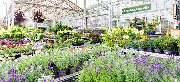 OBI Markt Solingen - OBI Gartencenter Solingen