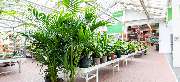 OBI Markt Solingen - OBI Gartencenter Solingen