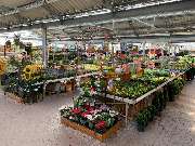 OBI Markt Sondershausen - Gartencenter 2021