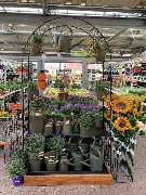 OBI Markt Sondershausen - Gartencenter 2021