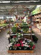 OBI Markt Sondershausen - Gartencenter 2021