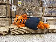 OBI Markt St. Egidien - GALLERY