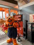 OBI Markt St. Egidien - GALLERY