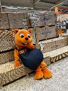 OBI Markt St. Egidien - GALLERY