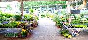 OBI Markt St. Egidien - OBI Gartencenter Sankt Egidien