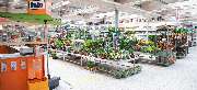OBI Markt St. Egidien - OBI Gartencenter Sankt Egidien