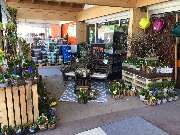 OBI Markt Stephanskirchen - Baumarkt