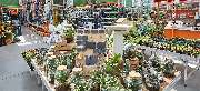OBI Markt Stephanskirchen - OBI Gartencenter Stephanskirchen