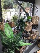 OBI Markt Stephanskirchen - OBI Markt Stephanskirchen