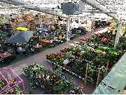 OBI Markt Stuttgart-Feuerbach - Der Frühling kann kommen, wir sind vorbereitet....:-)