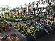 OBI Markt Stuttgart-Feuerbach - OBI Markt-Eingang Stuttgart-Feuerbach