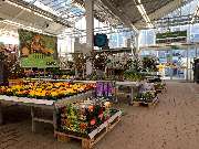 OBI Markt Stuttgart-Wangen - Garten-Kalthaus