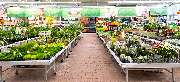 OBI Markt Stuttgart-Wangen - OBI Gartencenter Stuttgart-Wangen