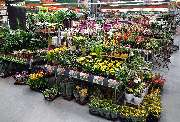 OBI Markt Stuttgart-Westbahnhof - OBI Gartencenter Stuttgart-Westbahnhof