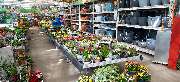 OBI Markt Torgau - OBI Gartencenter Torgau