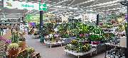 OBI Markt Torgelow - OBI Gartencenter Torgelow