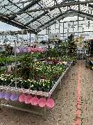 OBI Markt Tübingen - GALLERY