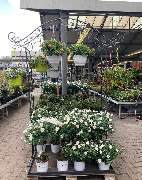 OBI Markt Uhingen - Außengelände Obi-Markt Juni 2020