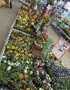 OBI Markt Uhingen - Außengelände Obi-Markt Juni 2020