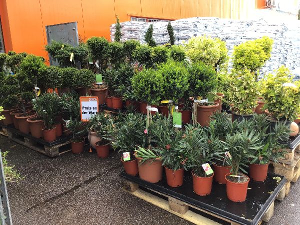 OBI Markt Uhingen - Eingang Obi-Markt April 2019