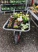 OBI Markt Uhingen - Eingang Obi-Markt April 2019