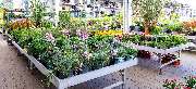 OBI Markt Velbert - OBI Gartencenter Velbert
