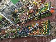 OBI Markt Viersen - OBI Gartencenter Viersen