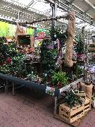 OBI Markt Viersen - OBI Markt-Eingang Viersen