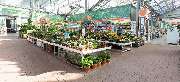 OBI Markt Waiblingen - OBI Gartencenter Waiblingen