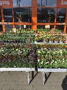 OBI Markt Waldshut-Tiengen - Eingangsbereich OBI Waldshut