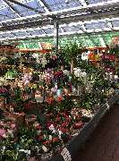 OBI Markt Waldshut-Tiengen - Gartenabteilung OBI Waldshut