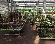 OBI Markt Waldshut-Tiengen - Gartenabteilung OBI Waldshut