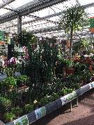 OBI Markt Waldshut-Tiengen - Gartenabteilung OBI Waldshut