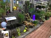 OBI Markt Waldshut-Tiengen - Gartenabteilung OBI Waldshut