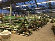 OBI Markt Waldshut-Tiengen - Gartenabteilung OBI Waldshut