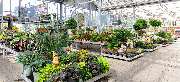 OBI Markt Waldshut-Tiengen - OBI Gartencenter Waldshut-Tiengen