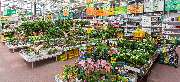 OBI Markt Walsrode - GALLERY