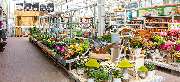 OBI Markt Walsrode - GALLERY