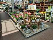 OBI Markt Walsrode - OBI Badplaner Walsrode